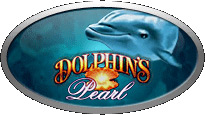  Dolphins